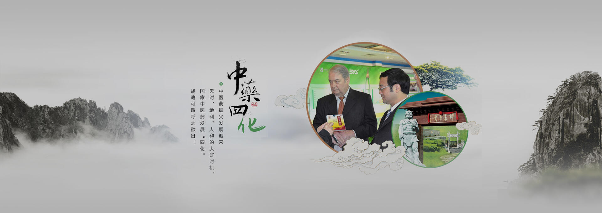 兰州建站-若一医药科技