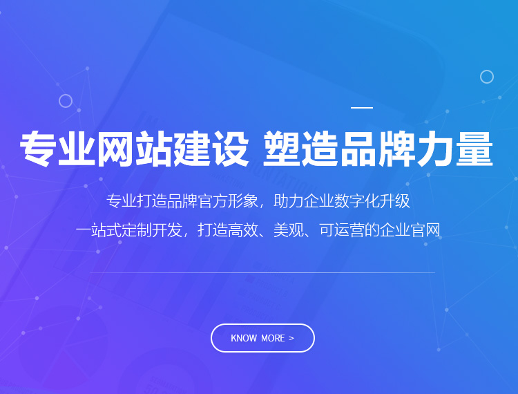 榆中建站-专业网站建设 塑造品牌力量